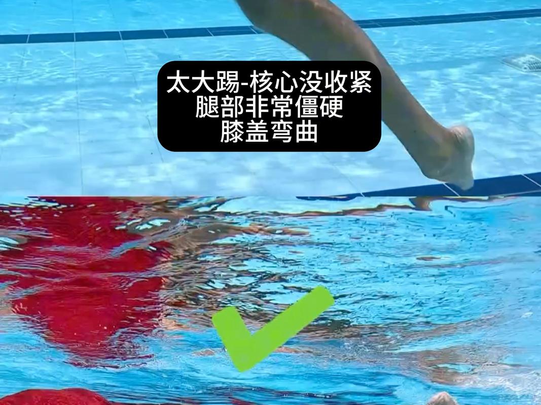 自由泳身体位置对比图 正确与错误
