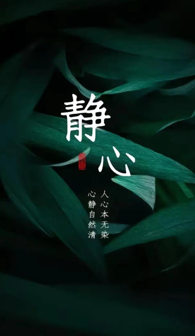 无风的寂静,是一个人的修行
