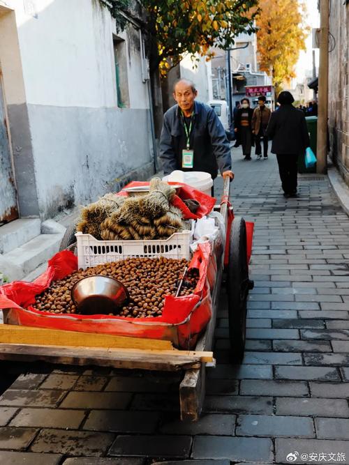 老巷口桂树下的糖炒栗子推车