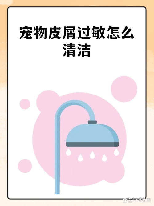 家庭宠物过敏原错误清理方式对比图