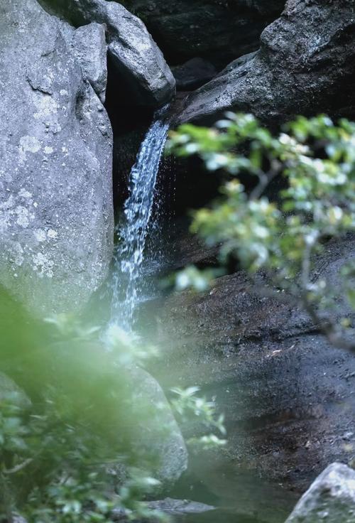 户外干净流动山泉水实拍