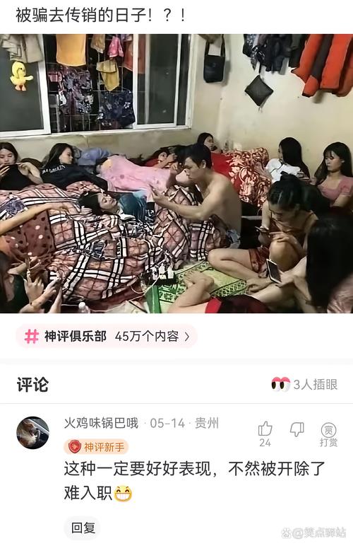 手机社交平台评论区满屏网络热梗截图