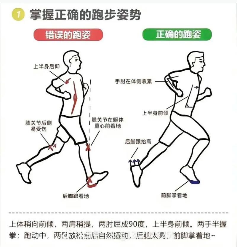 跑步前后身体机能变化示意图爬楼梯不喘