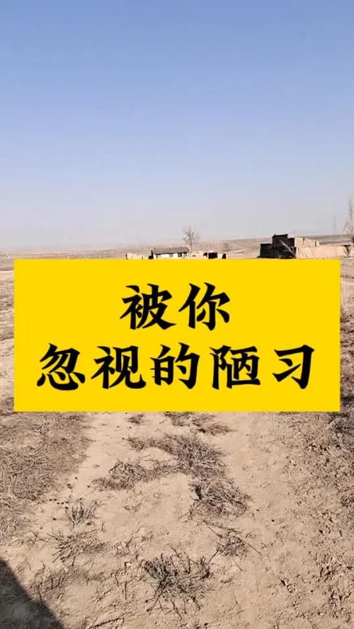 那些被忽略的小细节，全踩过才懂