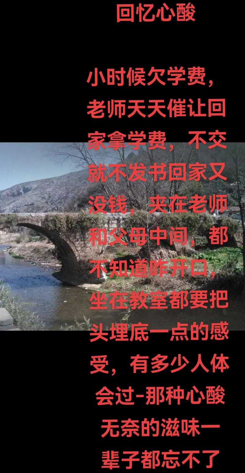 七、最后给你交个底：怎么选才不踩坑？