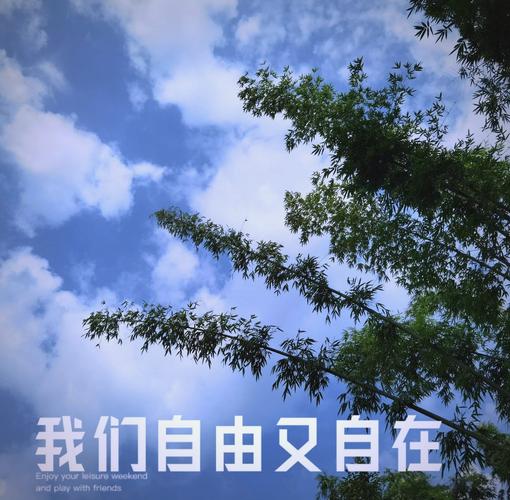 三、Day 2：暴走日——用“掌控感”驱散阴霾