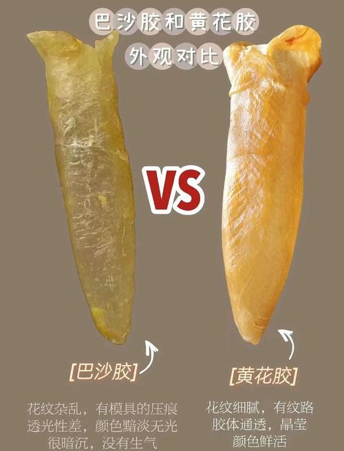 真假耐水腻子泡水对比实验图