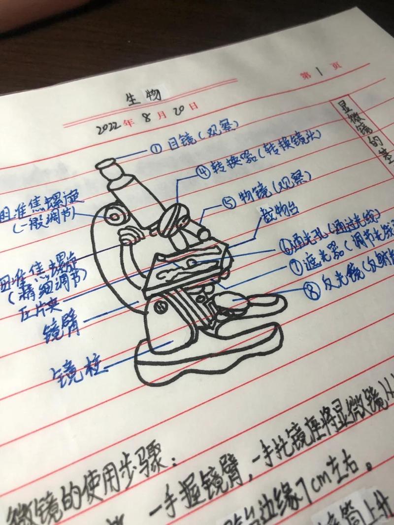 手机屏幕纳米疏油层显微镜结构图