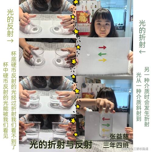 在家就能做的光的折射小探究，符合新课改探究要求