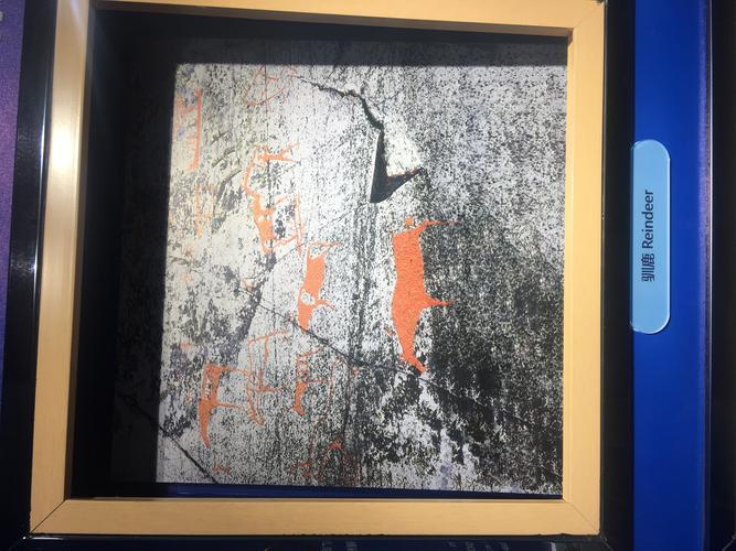 激光扫描损伤古代摩崖颜料层显微观测图