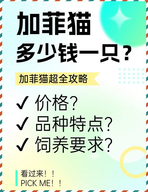 价格低于常识？那多半有猫腻