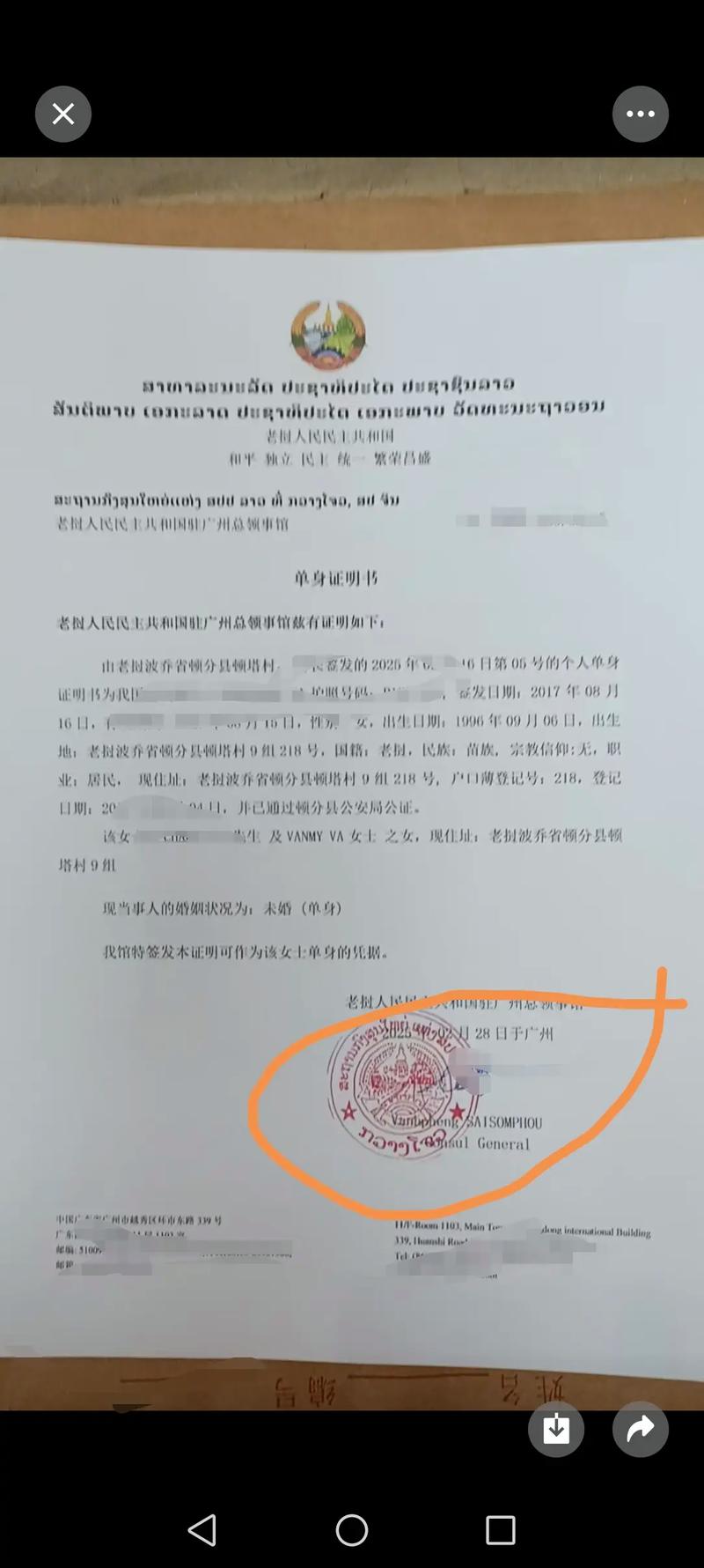 律师检查复杂的跨国遗产文件