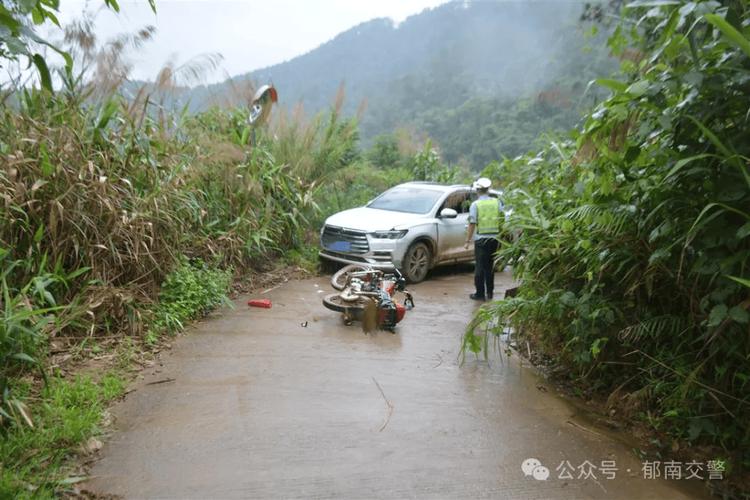 乡间道路避让行人交通事故现场