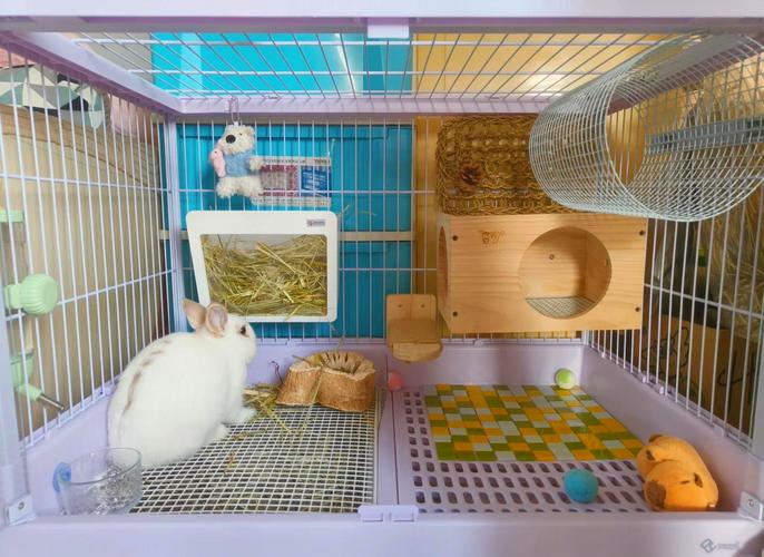 居家宠物笼内部布置实景图