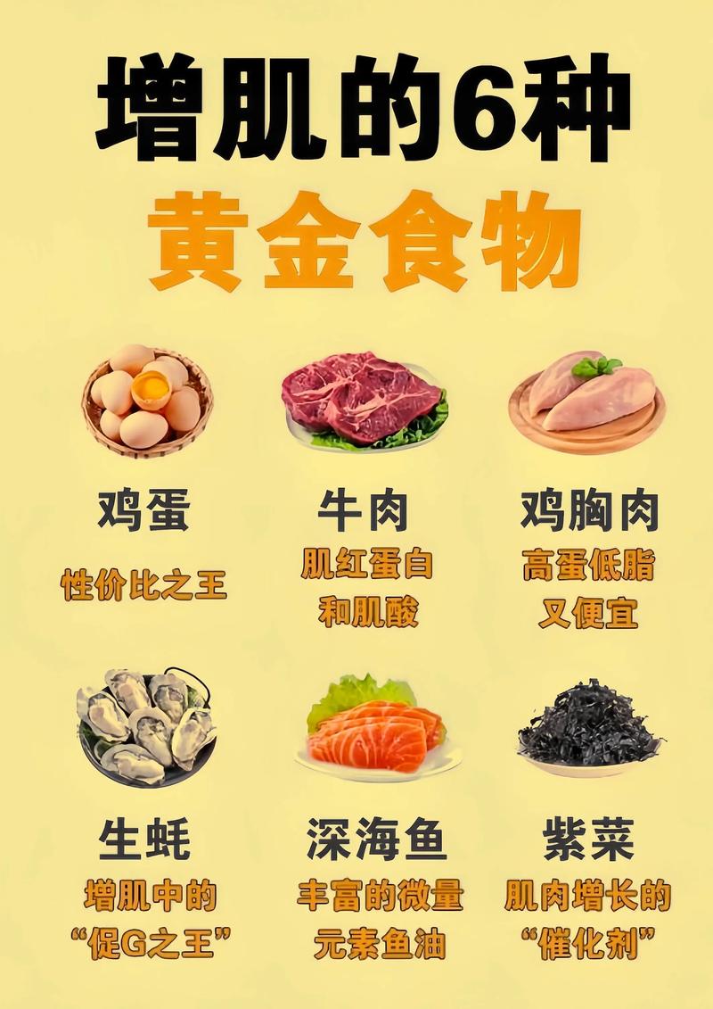 增肌高蛋白饮食食材搭配示例