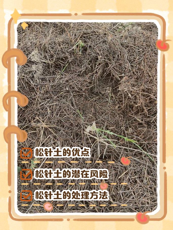 松土比施肥更重要