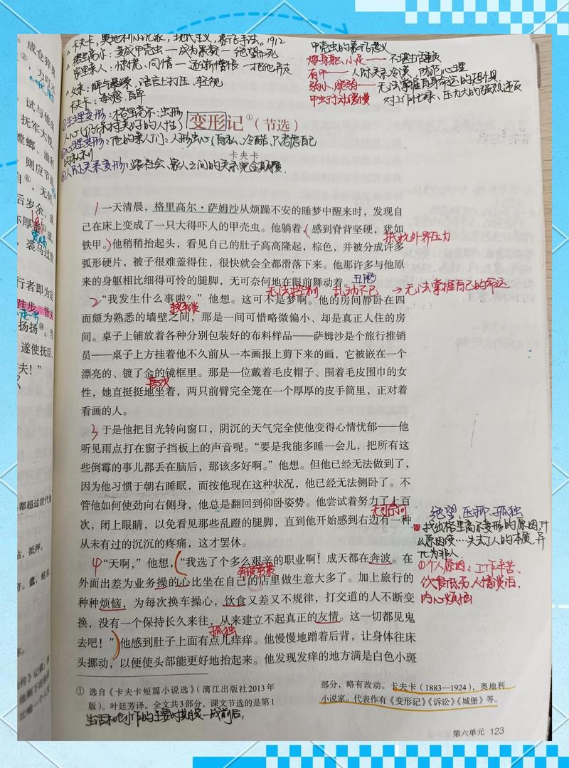 探视权法律条款笔记和证据截图