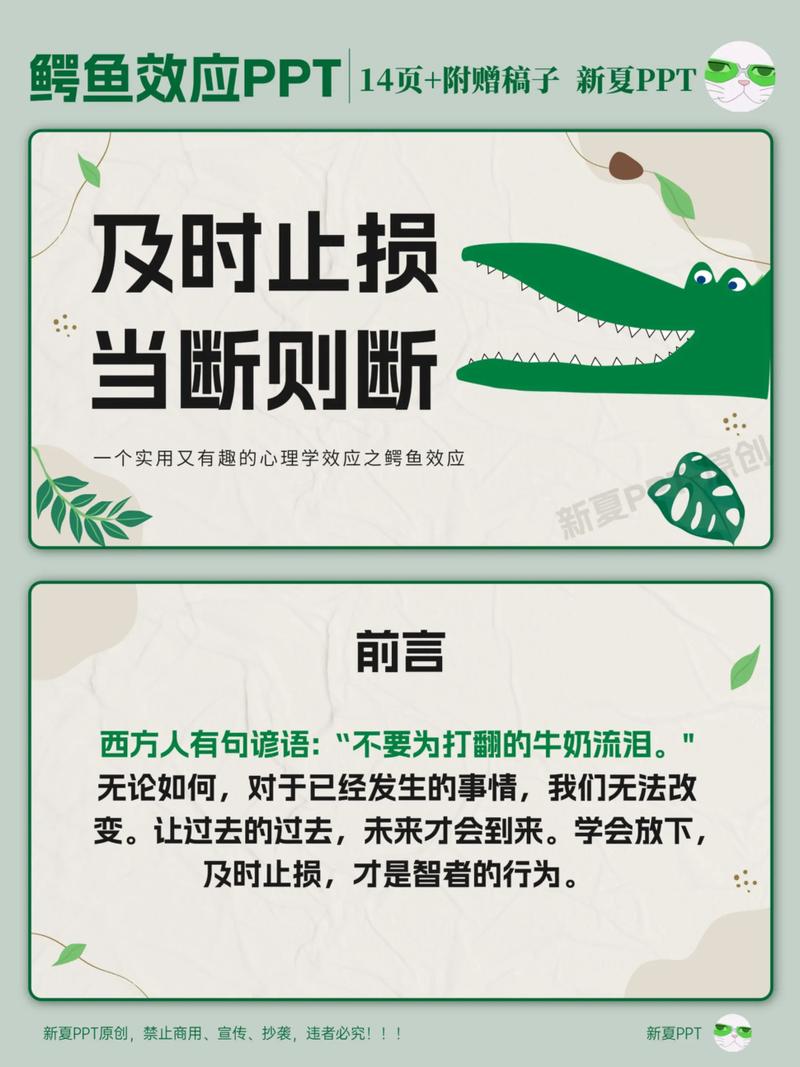 你以为是防腐？其实远不止