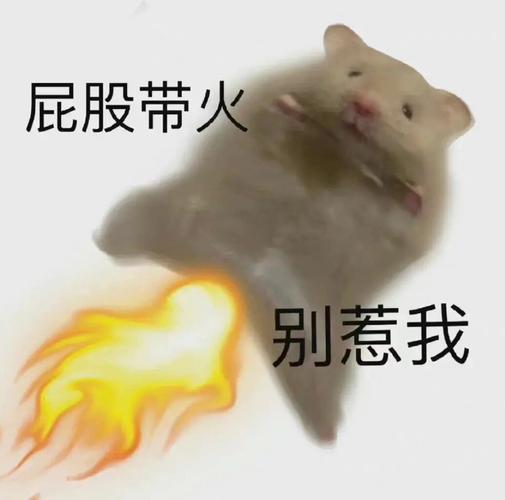 🔥 别看了，动手吧