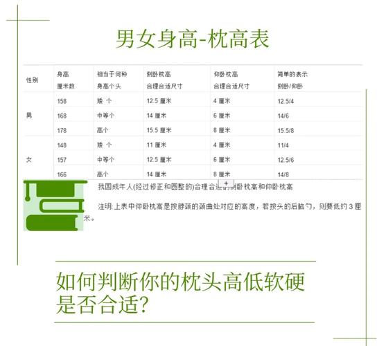 不同高度和硬度的抱枕对比测试实拍