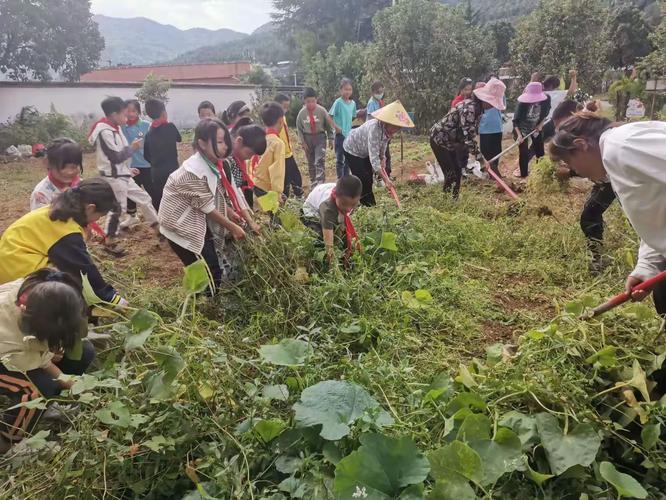 要把实践做好，得先弯下腰听