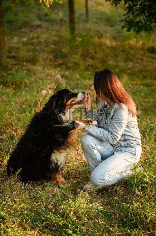 狗狗训练主人给狗狗喂零食奖励实拍场景