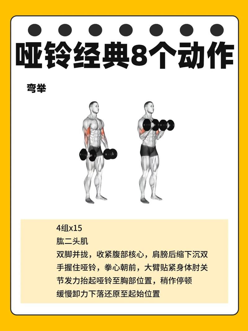 关于哑铃,一些零碎的真实想法