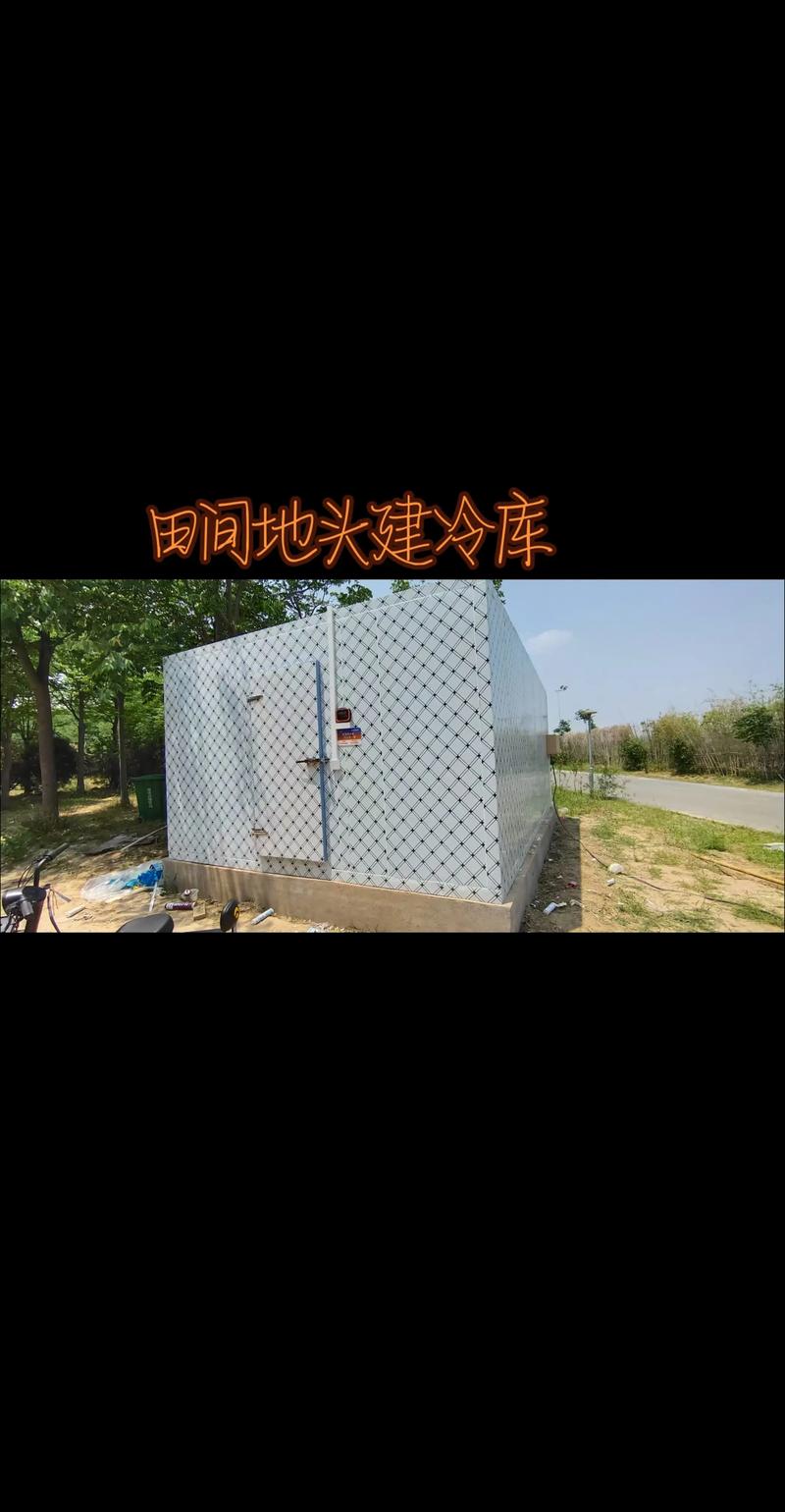 村里建冷库，十个有八个建错了