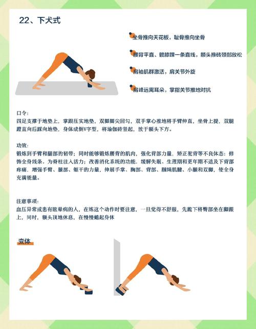 新手瑜伽练习中运用瑜伽砖辅助下犬式