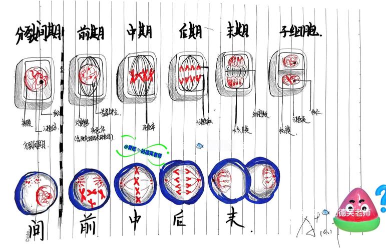 产学研脱节现象示意图