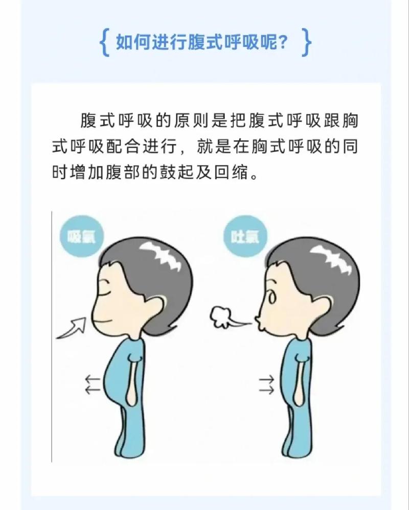 配音练习胸腹式呼吸示意图