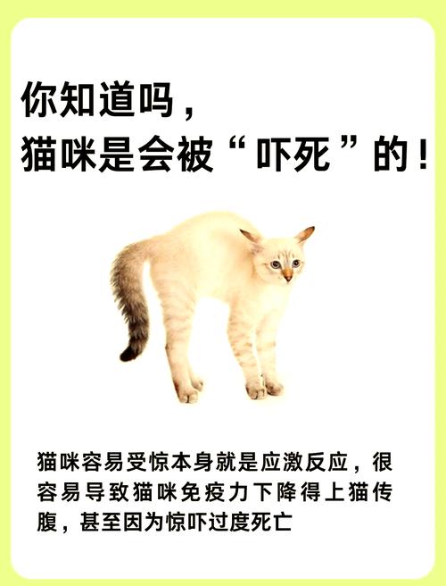 真要出门了，这些细节能帮你躲过应激