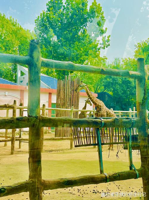 动物园午后安静步道休息区