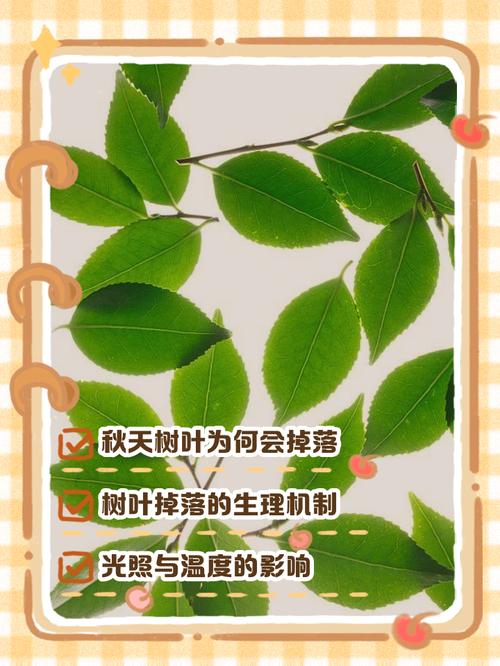 🍃 环保与健康