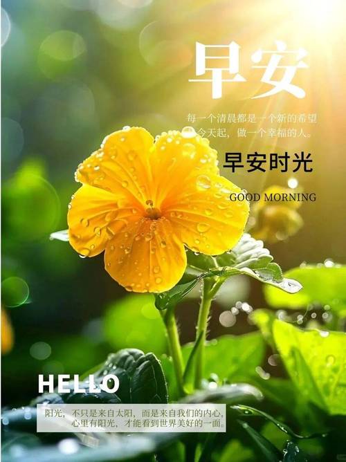 按月龄给信任