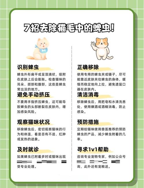 宠物体表蜱虫正确拔除操作步骤示意图