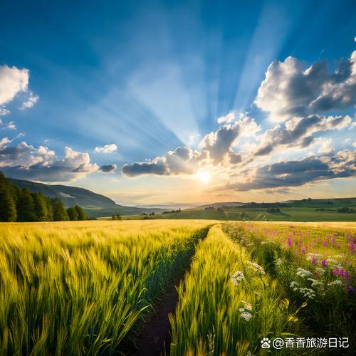 清晨麦田耶稣光从云层缝隙倾泻而下