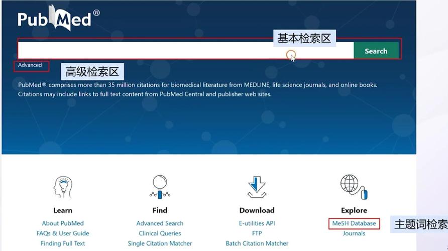 权威医学数据库PubMed搜索页面截屏