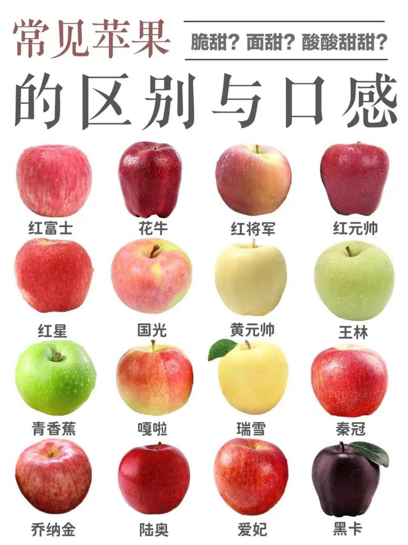 生鲜电商富士实体歧义识别对比图