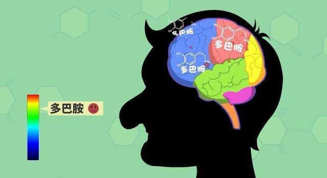 短视频上瘾大脑多巴胺分泌示意图