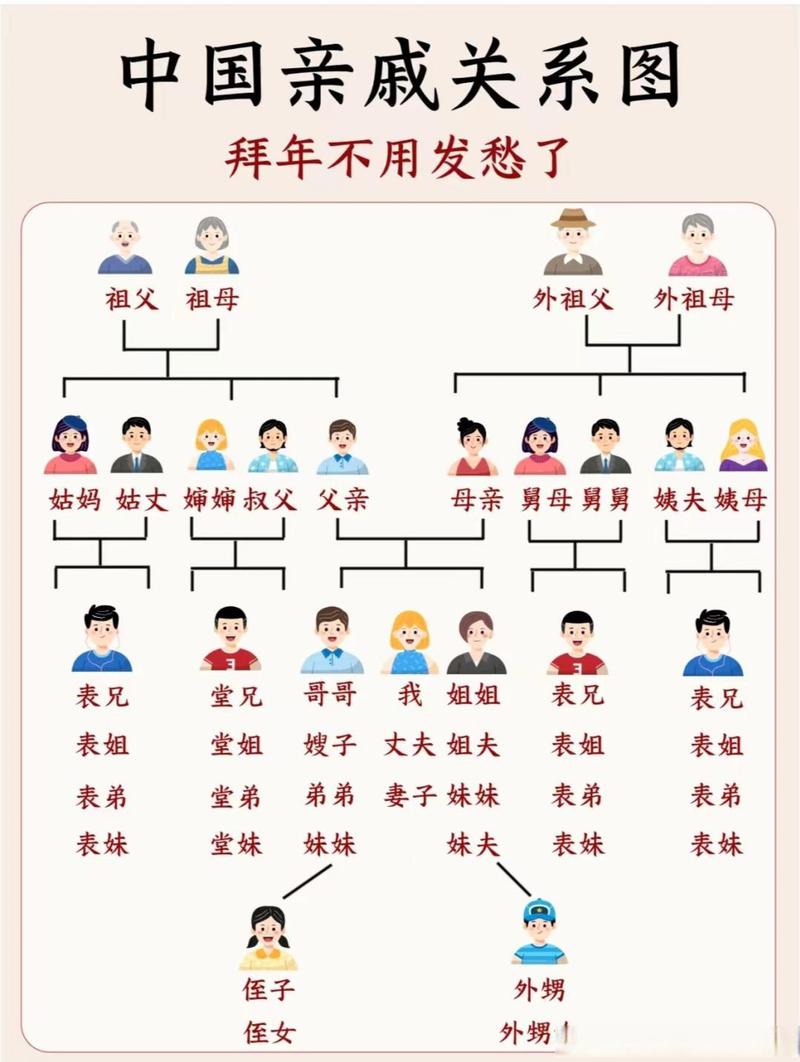 复杂的家庭关系树状图包含再婚和非婚生子女