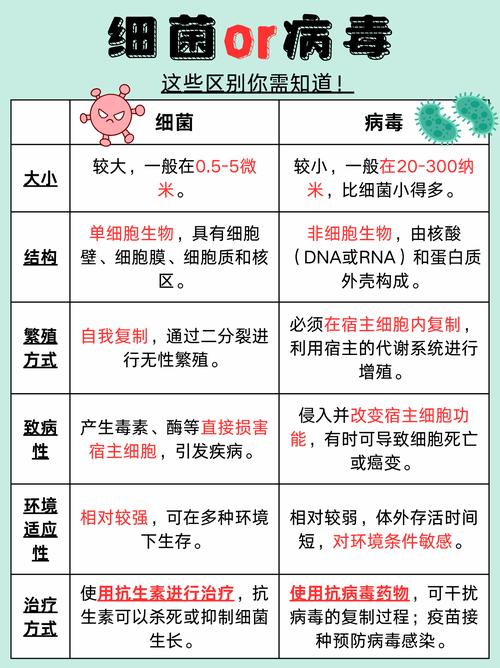 微生物科普 细菌真菌病毒结构对比示意图