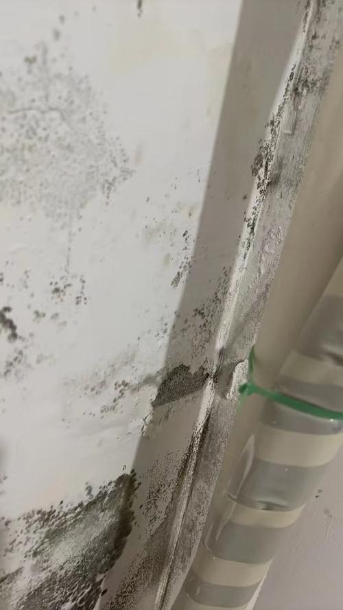 阳台潮湿角落霉菌滋生细节图