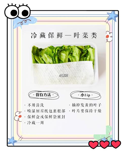 叶菜包裹厨房纸放入保鲜袋的收纳示意图