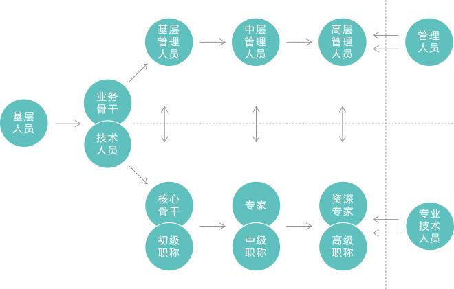 法务职业发展双通道路径图