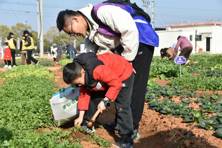 智能制造园区家属开放日小朋友独自蹲在草坪玩玩具的场景