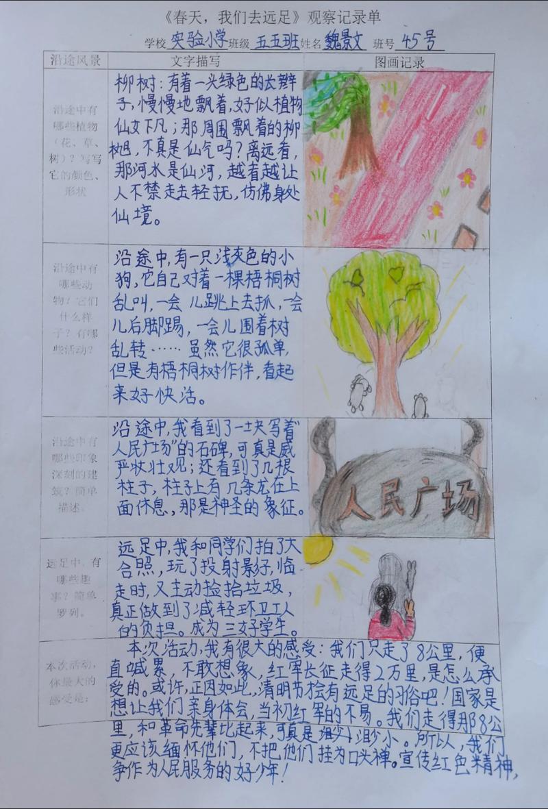 学生户外探索观察任务卡设计模板