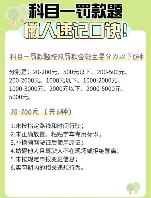 真碰到乱罚款，直接按这个来