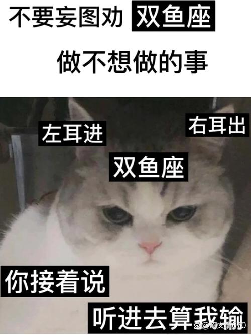 听听老师傅的吐槽,有时候比参数准
