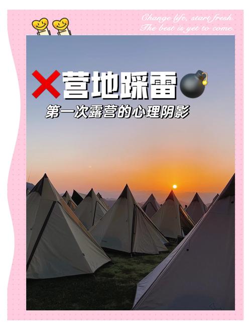 四、避坑指南：那些年我们一起踩过的雷